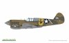 Eduard 82241 P-40E Warhawk 1/48